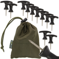 10 Platform Bivvy Pegs
