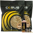 10KG TIGERNUT CITRUS BOILIES + HYDRO LIQUID + 1 HOOKBAIT