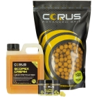 1KG SCOPEX CREAM BOILIES + LIQUID FEED + 1 HOOKBAIT