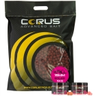 5KG KRILL BOILIES + 2 HOOKBAITS