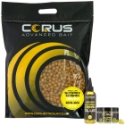 5KG SCOPEX CREAM BOILIES + GLUG + 1 HOOKBAIT