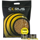 5KG SCOPEX CREAM BOILIES + 2 HOOKBAITS