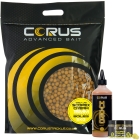 5KG SCOPEX CREAM BOILIES + HYDRO LIQUID + 1 HOOKBAIT