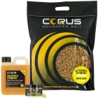 5KG SCOPEX CREAM BOILIES + LIQUID FEED + 1 HOOKBAIT