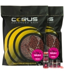 10KG KRILL BOILIES + GLUG + 1 HOOKBAIT
