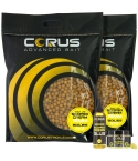 10KG SCOPEX CREAM BOILIES + GLUG + 1 HOOKBAIT