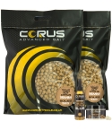 10KG TIGERNUT CITRUS BOILIES + GLUG + 1 HOOKBAIT