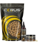 1KG NUT CLUSTER BOILIES + GLUG + 1 HOOKBAIT