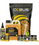 1KG SCOPEX CREAM BOILIES MEGA BUNDLE