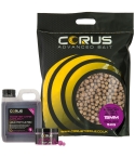 5KG MCH BOILIES + LIQUID FEED + 1 HOOKBAIT