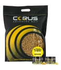 5KG SCOPEX CREAM BOILIES + 2 HOOKBAITS