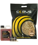 5KG TIGERNUT CITRUS BOILIES + LIQUID FEED + 1 HOOKBAIT